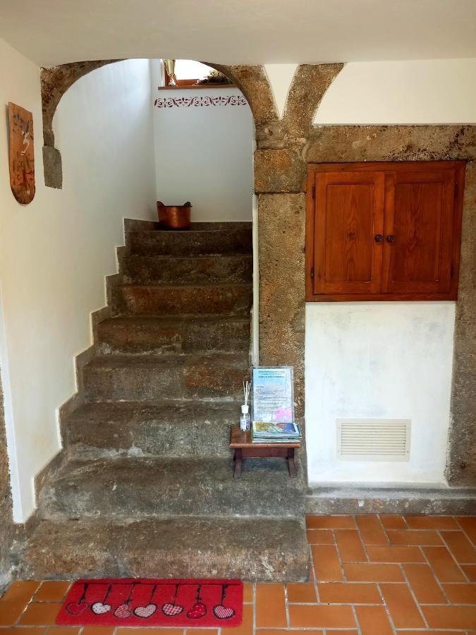 Cjasa Da Puci Διαμέρισμα Ovaro Εξωτερικό φωτογραφία